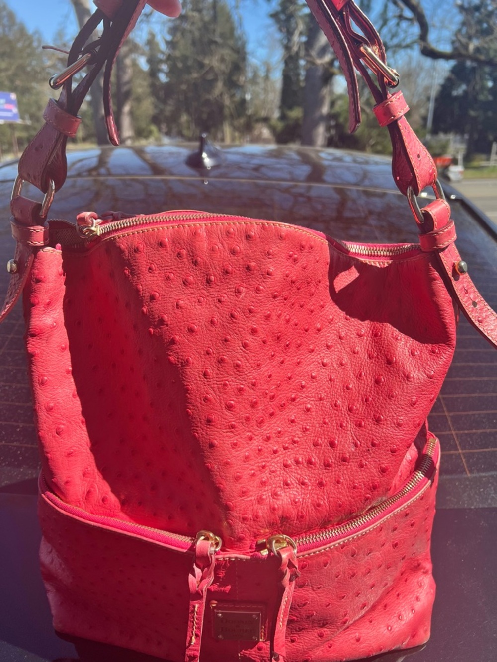 Dooney & Bourke Large Pink Ostrich Pocket Sac shoulder bag - Picture 11 of 16